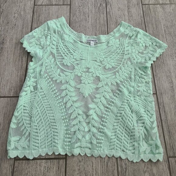Express women's Mint Green Embroidered Mesh Sheer Top Size Small - Picture 1 of 9